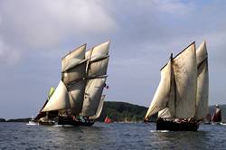 Looe Lugger Regatta - start of the first race