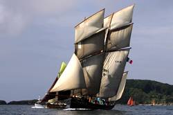 Looe Lugger Regatta - start of the first race