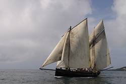 Looe Lugger Regatta - start of the first race