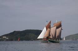 Looe Lugger Regatta - start of the first race