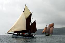 Looe Lugger Regatta - start of the first race