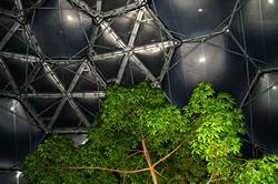 Eden - Rainforest Biome at night