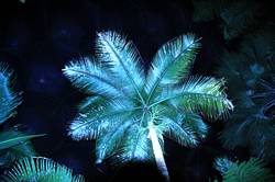 Eden - Rainforest Biome at night