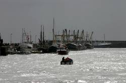 Newlyn Fish Festival