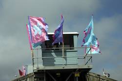 Newlyn Fish Festival