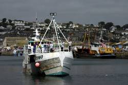 Newlyn Fish Festival