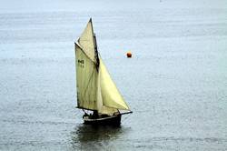 Falmouth working boats