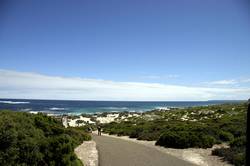 Seal bay conservation park