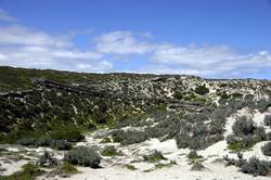 Seal bay conservation park