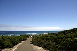 Seal bay conservation park