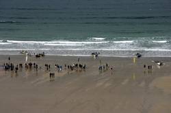 European Open Surfboat Championships - Tolcarne Beach Newquay