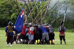 hedgehogs of pike men