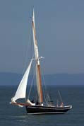 Looe Lugger festival