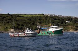 Looe Trawler Race