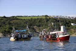 Looe Trawler Race