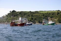 Looe Trawler Race