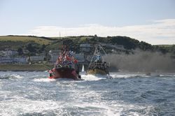 Looe Trawler Race