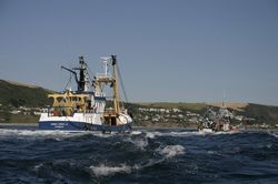 Looe Trawler Race