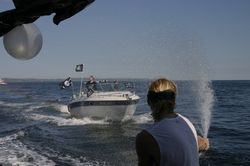 Looe Trawler Race