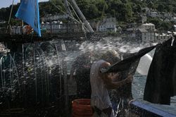 Looe Trawler Race