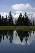 Lake reflections